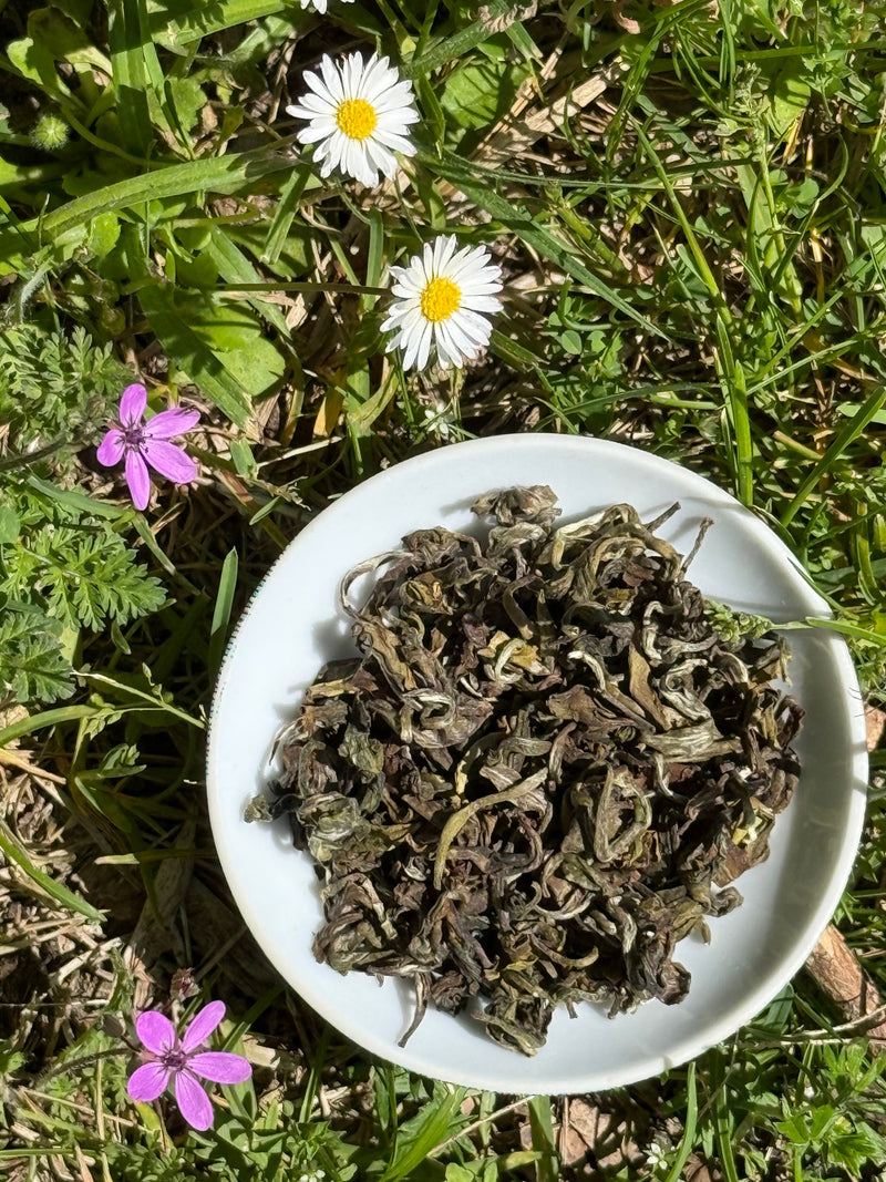 Spring Teas 2026