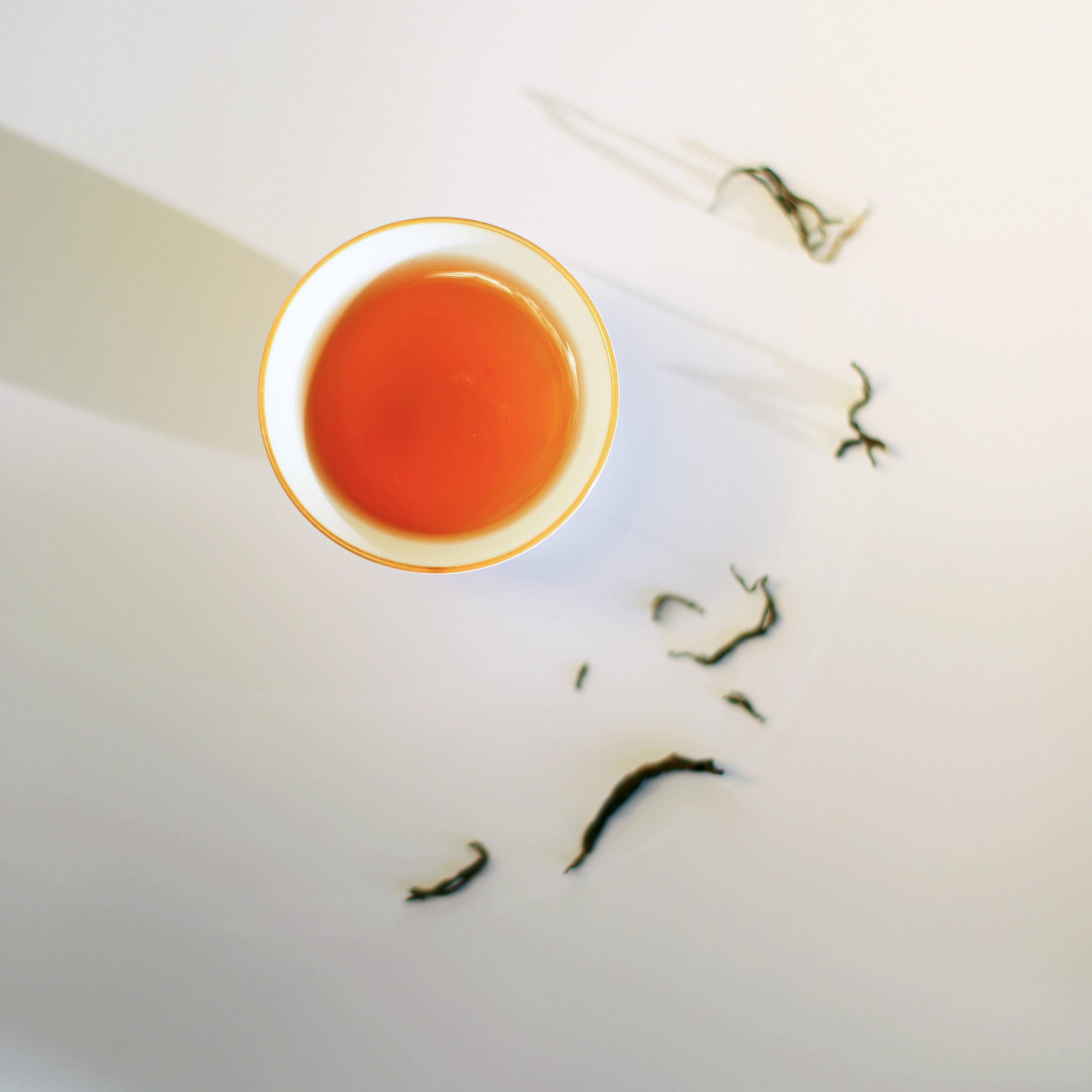 Himalayan Golden Black