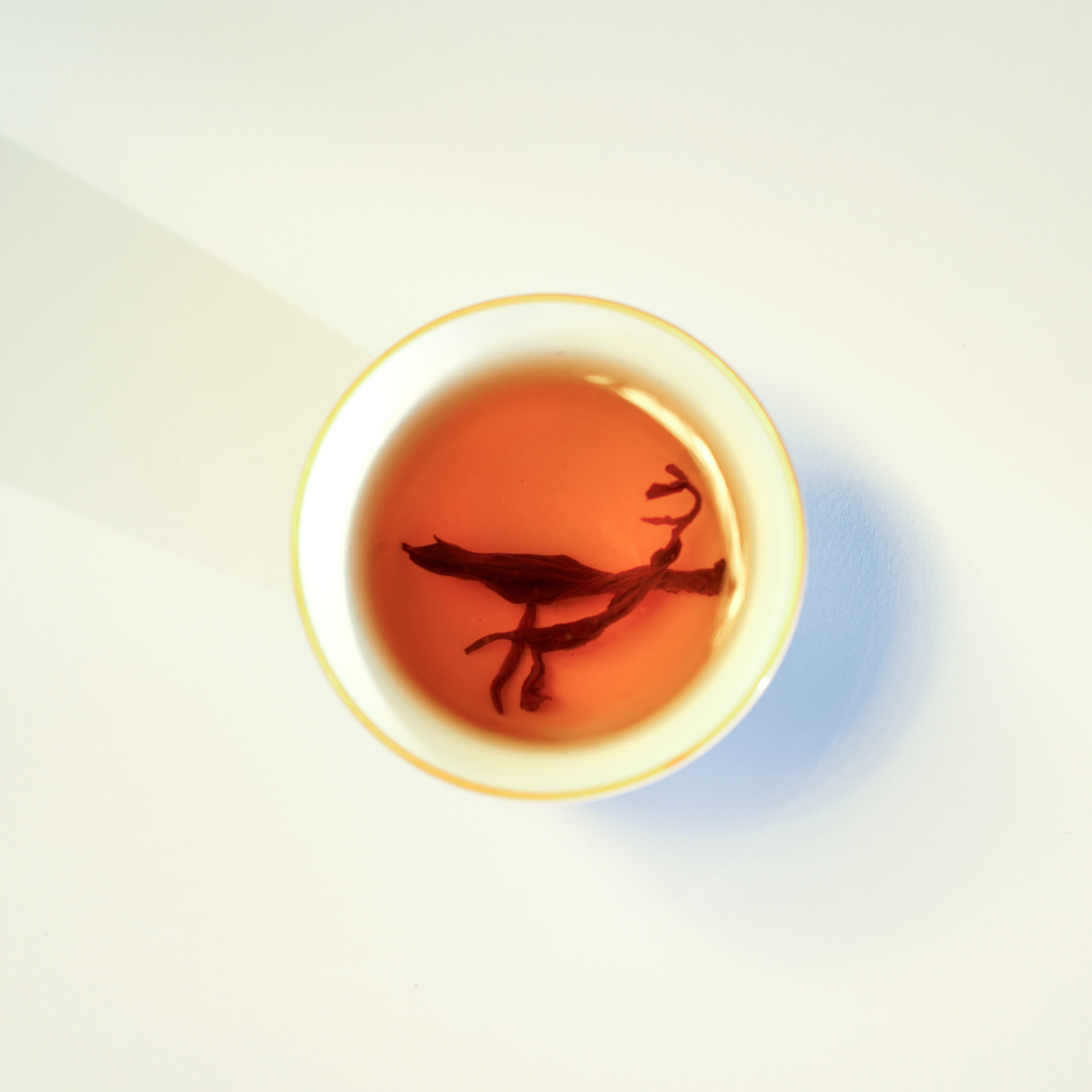 Himalayan Golden Black