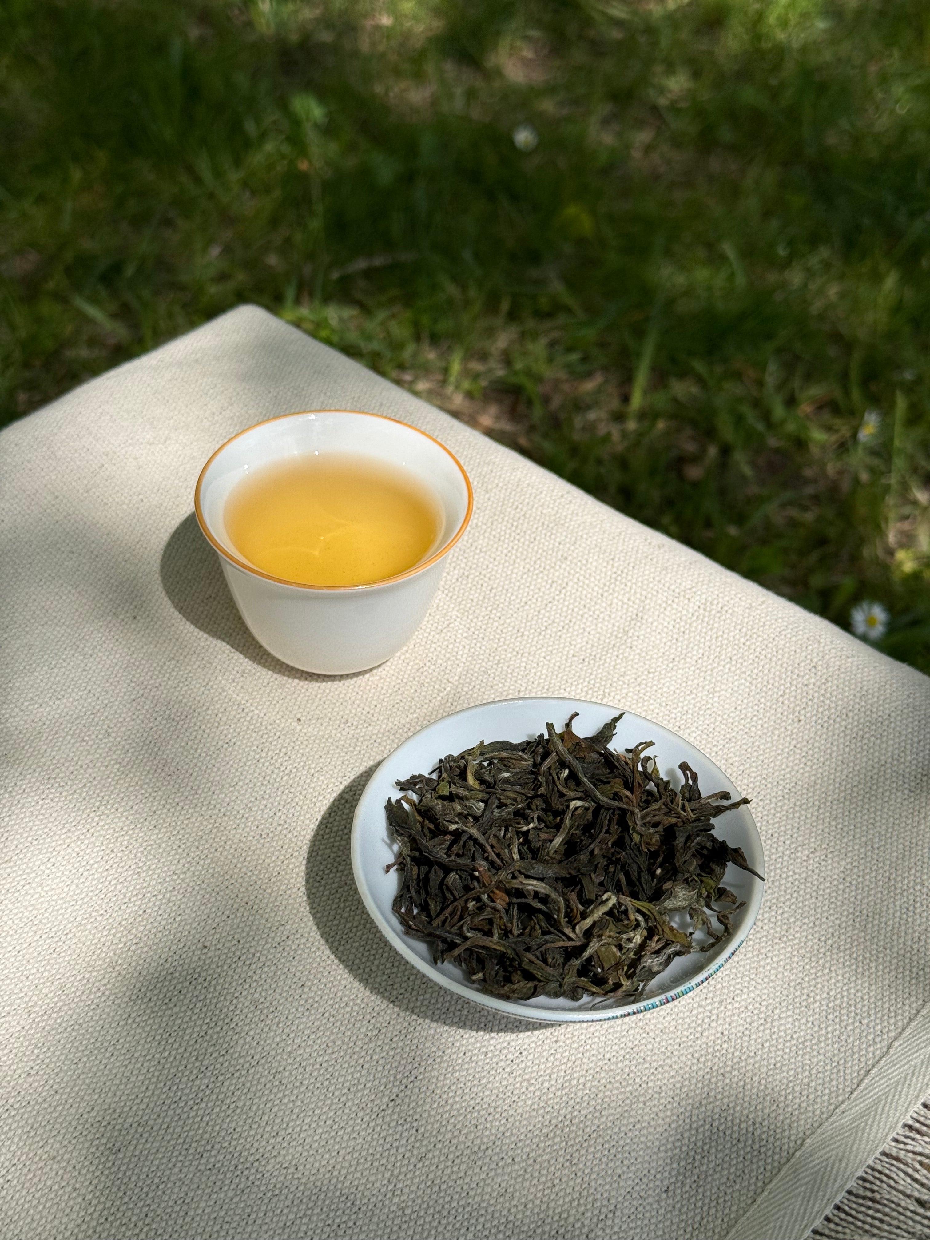 Spring Delight | T78 & AV2 First Flush Himalayan Tea | Darjeeling Cup