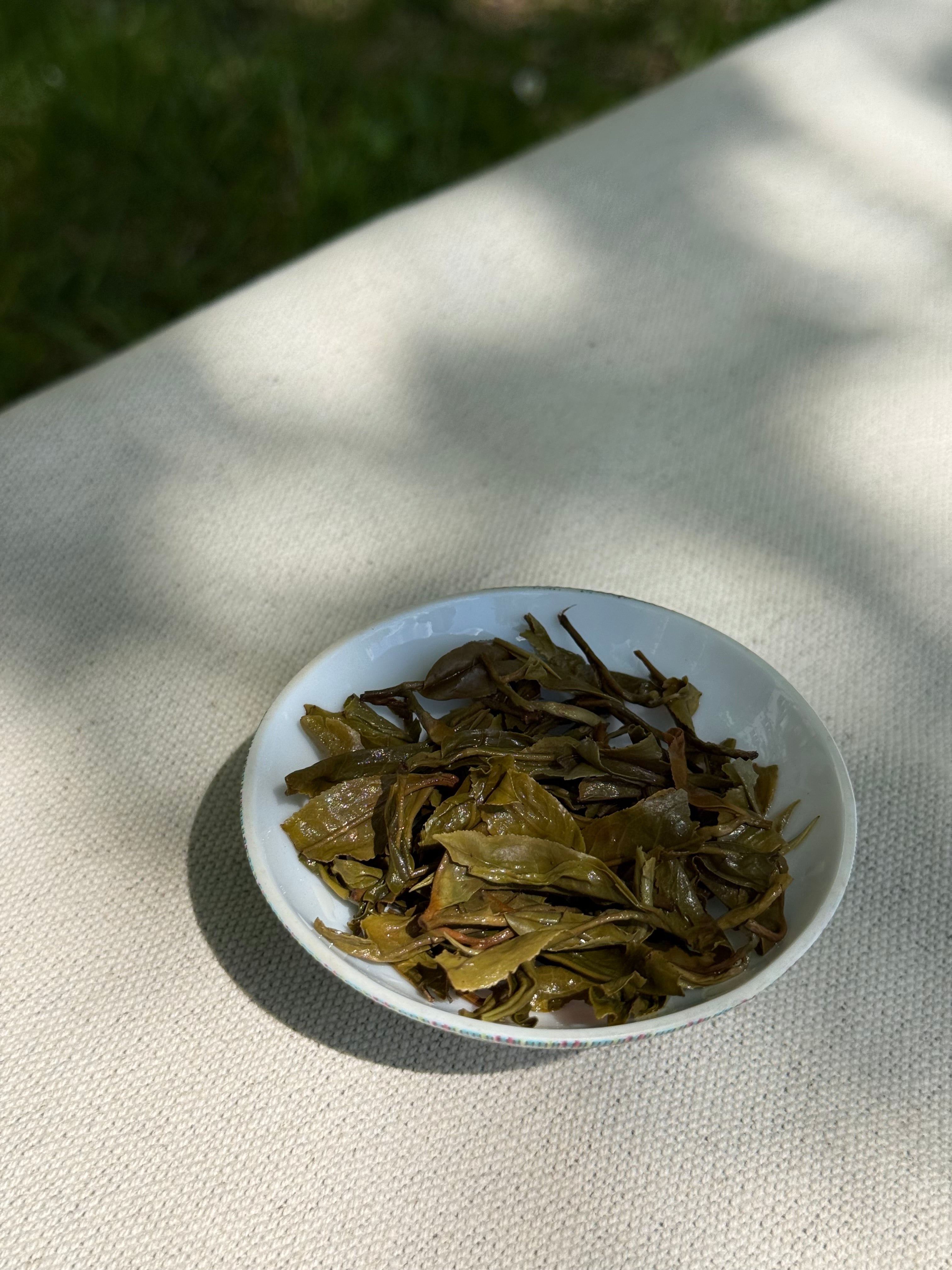 Spring Delight | T78 & AV2 First Flush Himalayan Tea | Darjeeling Cup