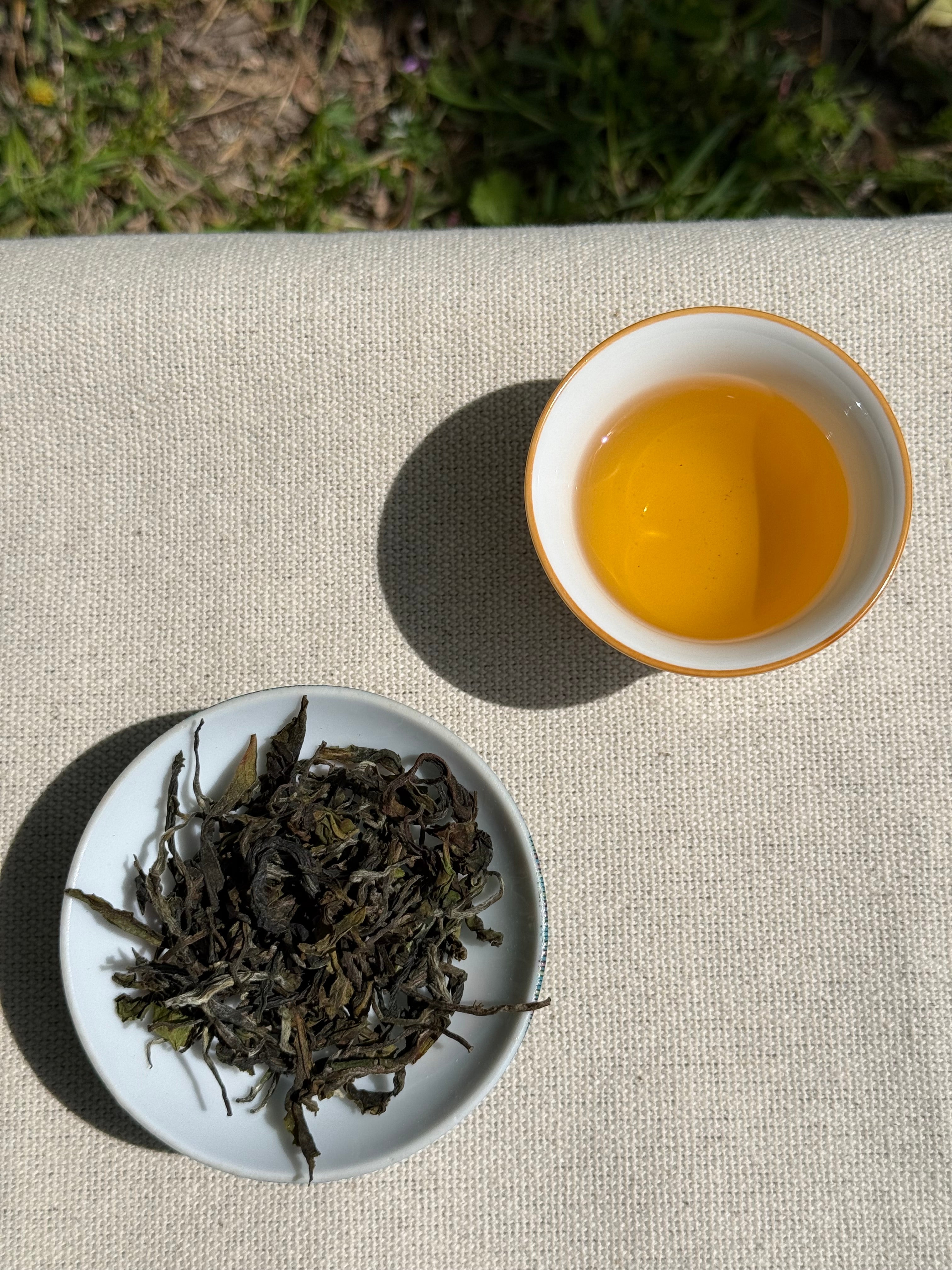 Spring Blossom | AV2 First Flush Himalayan Tea | Darjeeling Cup