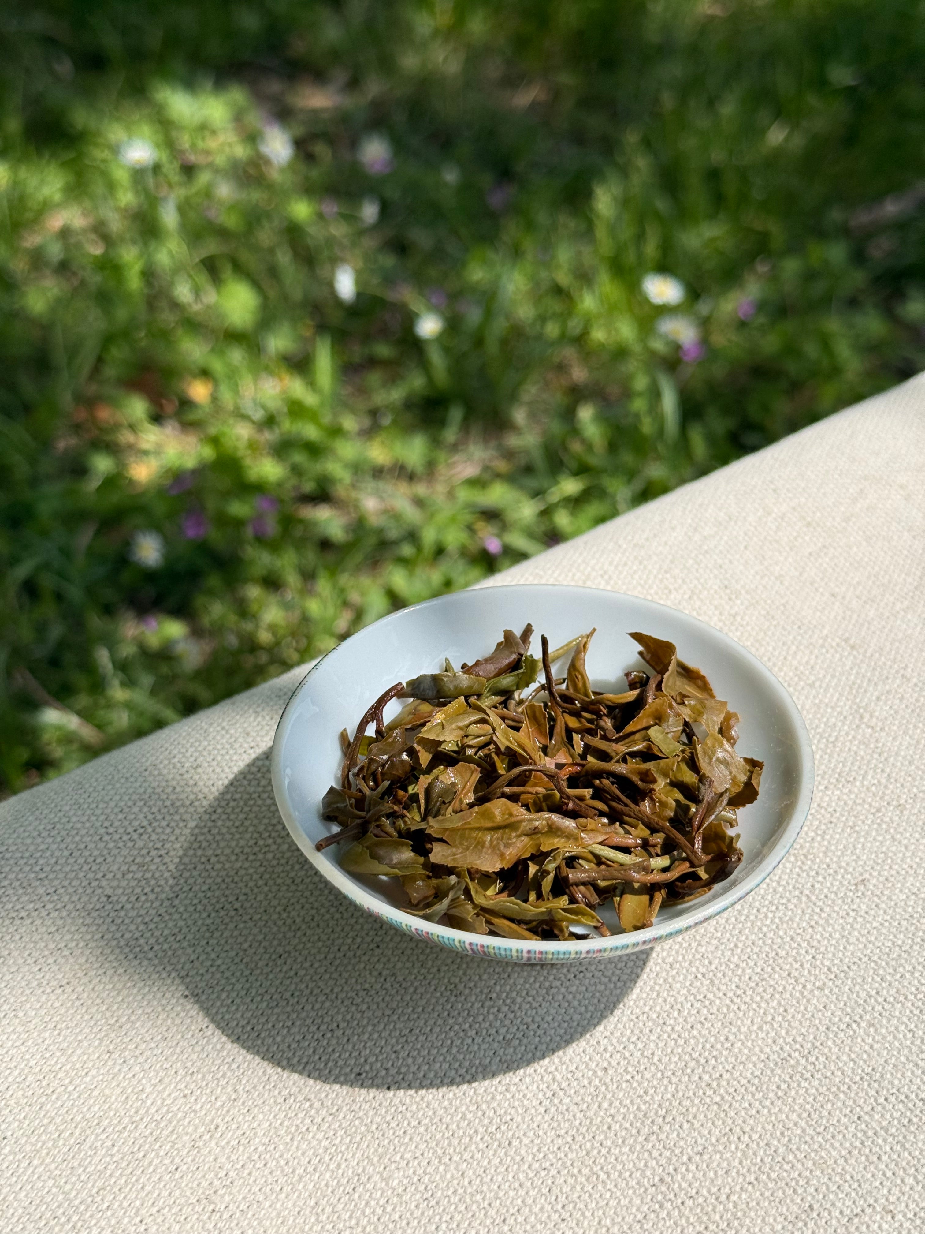 Spring Blossom | AV2 First Flush Himalayan Tea | Darjeeling Cup