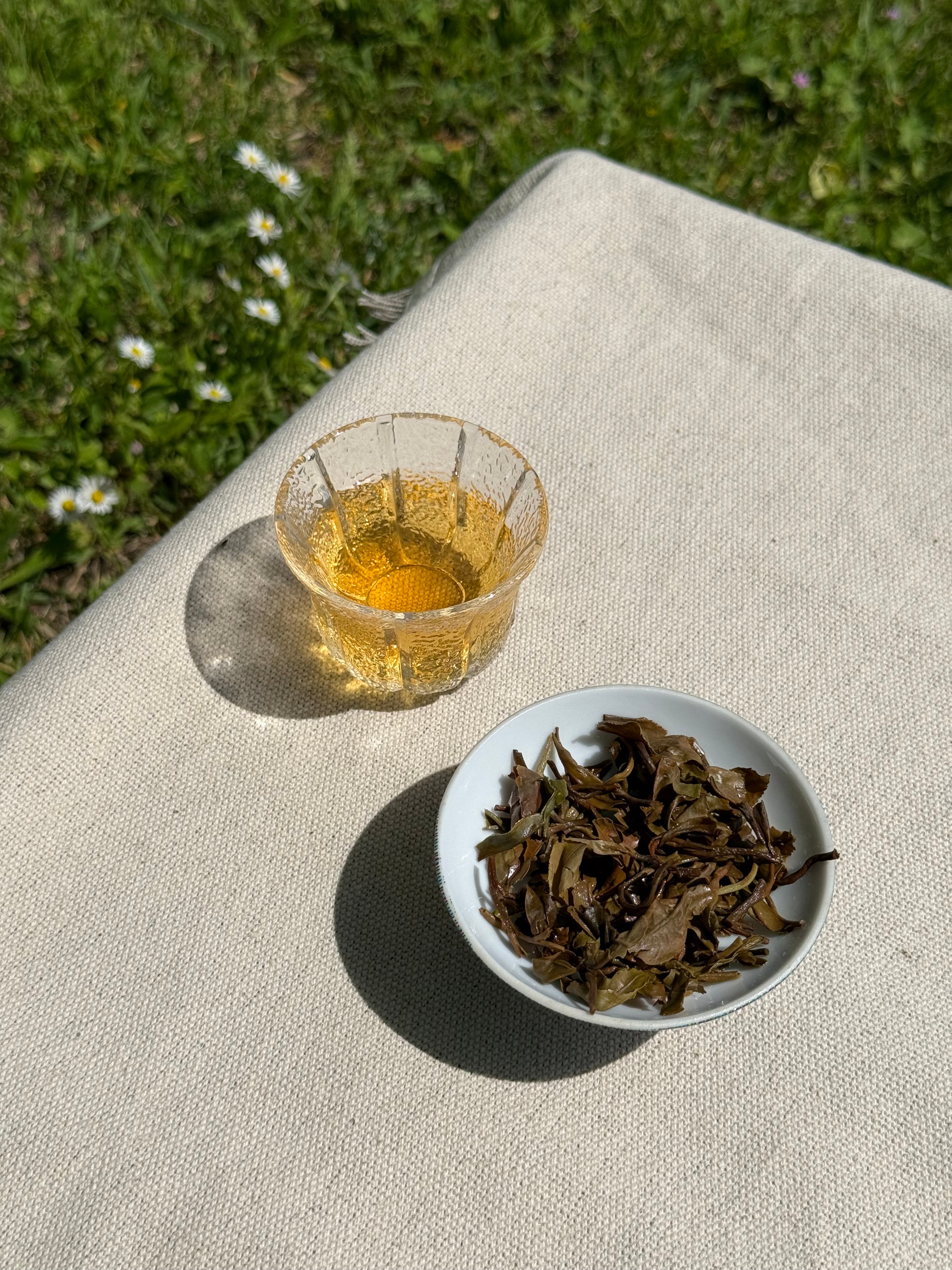 Spring Blossom | AV2 First Flush Himalayan Tea | Darjeeling Cup