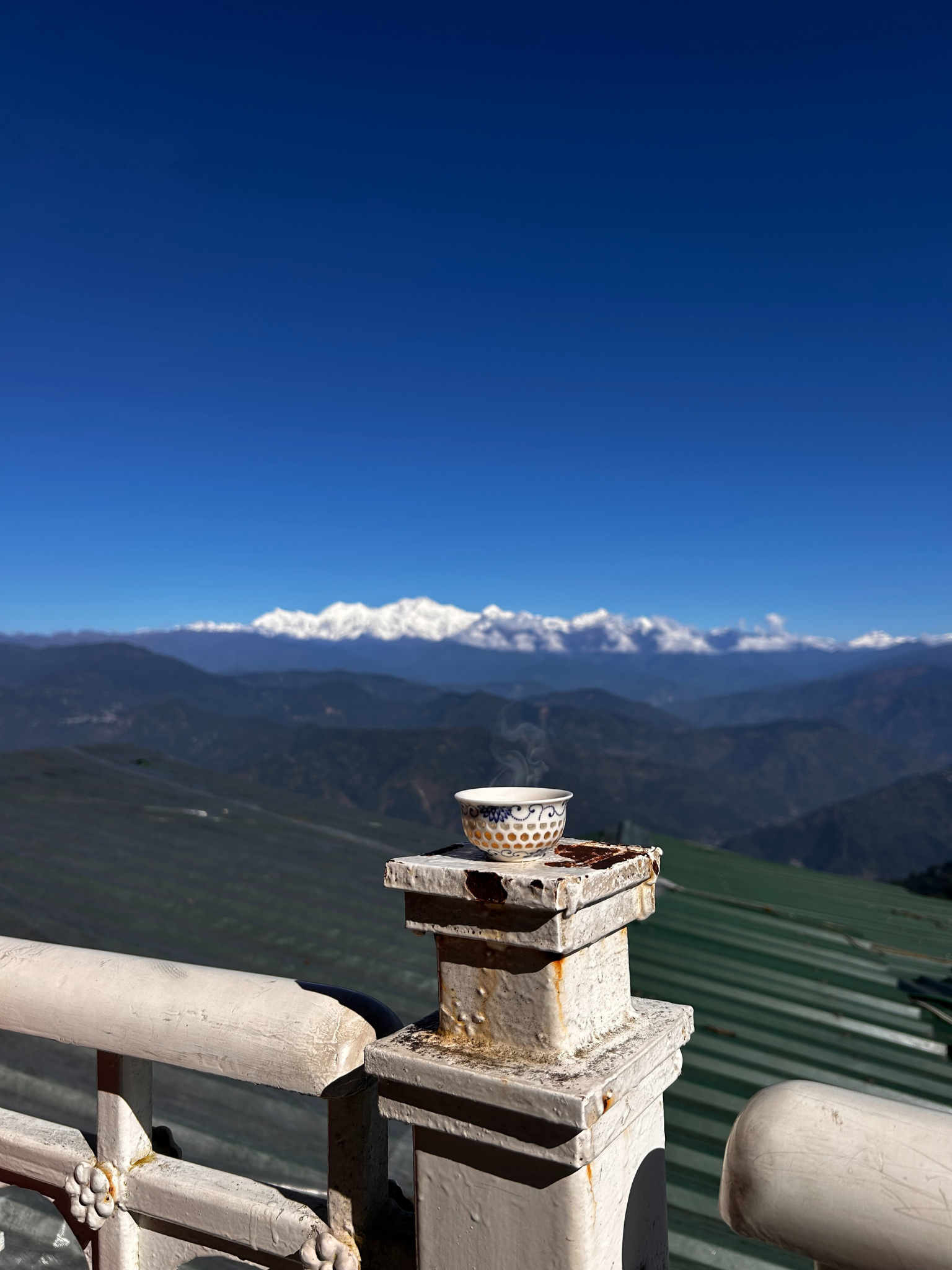 A steaming cup of Himalayan specialty tea with snow-capped mountains in the background, Darjeeling region